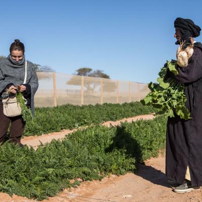 Approccio globale alla sicurezza alimentare