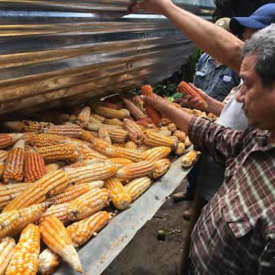 Dal produttore al consumatore