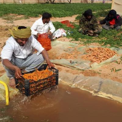 Approccio globale alla sicurezza alimentare